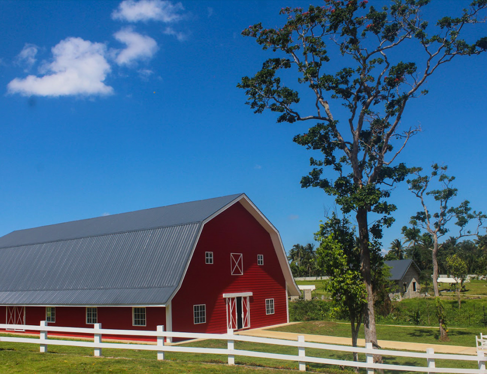 Old Grove Farmstead