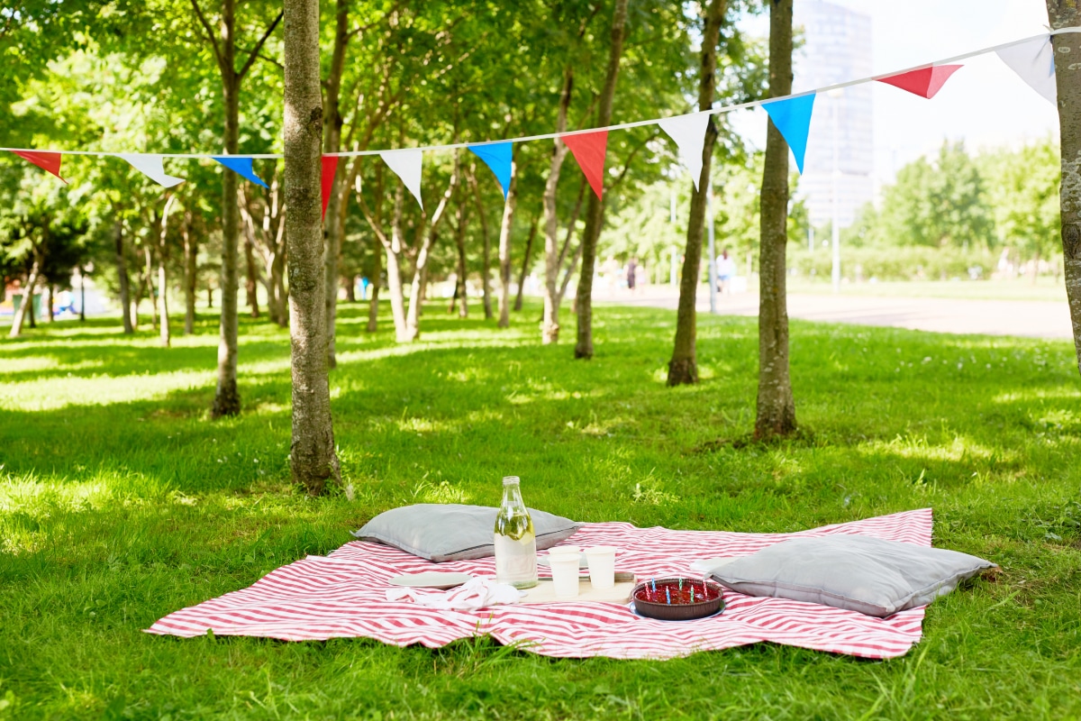 Hold A Picnic Party Outdoors