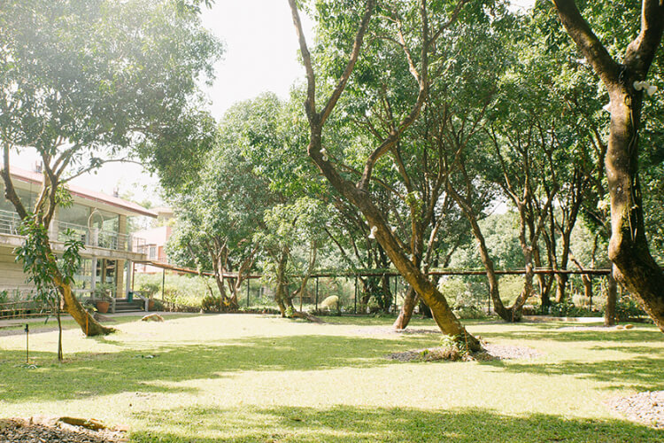  Juan Carlo and The Mango Farm